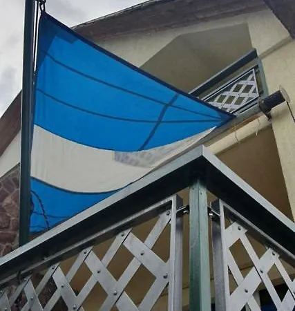 Landoltia Parti Haz Zanka